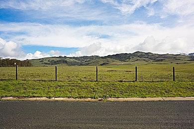 《银河战士：生存恐惧》两款全新Amiibo作用有限